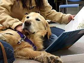 よりそう犬に読み聞かせ、読書を楽しむ「わんどく！」