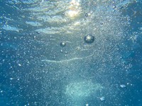 「もう、やってられないよねえ」選挙が近づくと思い出す、男性市長の声