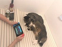 彼女がちゃむのすけくんとまるきちくん（上側）の兄弟猫たちとお風呂を満喫する様子を、「ねこまるすいさん」さんがTwitterに投稿。19万超のいいねがついた（提供画像）