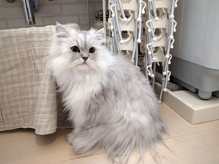 スタイルだって抜群