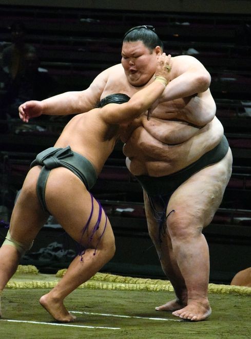 All time heaviest sumo wrestler slams sport s diet as health threat The Asahi Shimbun Breaking News Japan News and Analysis