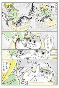 【漫画】「ネコと箱を奪い合う」（提供：キュルZさん）