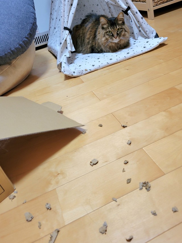 （飼い主さん提供）