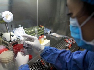 中国の精子バンク、ドナーの条件