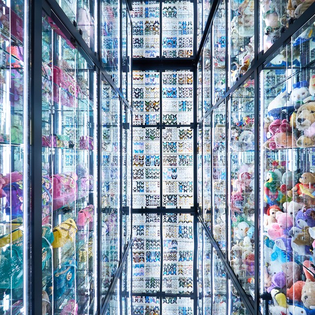 写真・図版