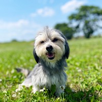 青空の下、笑みを浮かべるつんちゃん（画像提供：つんこむさん）