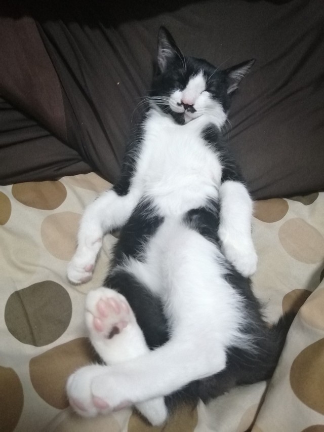 可愛すぎる寝相