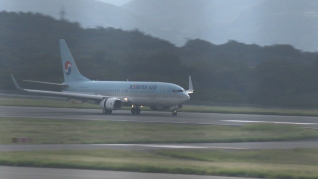 資料　大韓航空