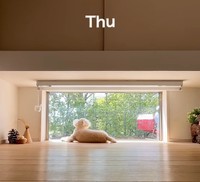 木曜日は、なぜかスルーのアルセーヌくん（提供：@vngomanori503さん）
