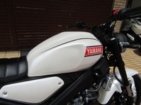 この角度からみるとRZ250