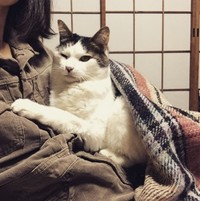 抱っこ好きの甘えん坊に成長