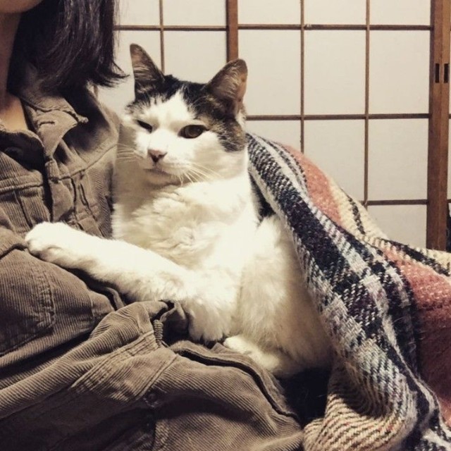 抱っこ好きの甘えん坊に成長