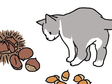 不十分な業者規制 動かない行政