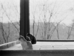 初めて触れたモノクロの世界は、私の世界を鮮やかにしてくれた