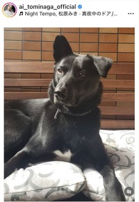 冨永愛のインスタグラム＠ai_tominaga_officialより