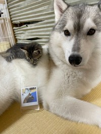 普段は仲良しなんです