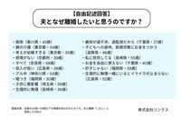 【自由記述】離婚したい理由（提供画像）