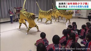 消防クラブの園児たちが伝統の火伏の虎舞で防火を願う　宮城・加美町