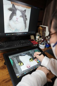 モデル猫の写真をもとに、デジタルツールで写し絵を描くとらきちさん
