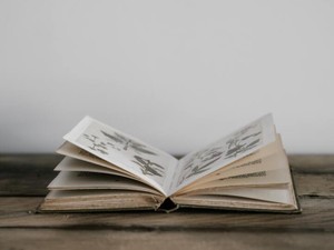 幼い頃に好きだった絵本。その作家の美術館に、私のふるさとがあった