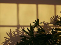 合格報告に「そこは大学じゃないね」と返される地元の息苦しさ