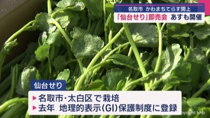 宮城・名取市特産「仙台せり」の即売会　かわまちてらす閖上