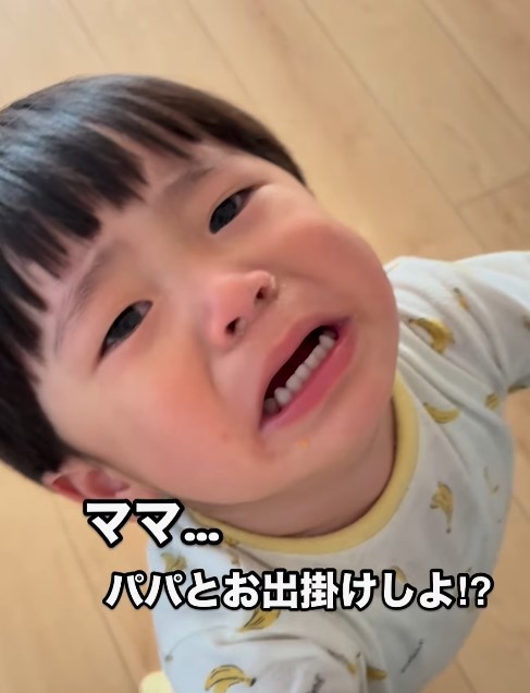 ママを見つめて、訴えるこうちゃん（提供：＠shotan.522さん）