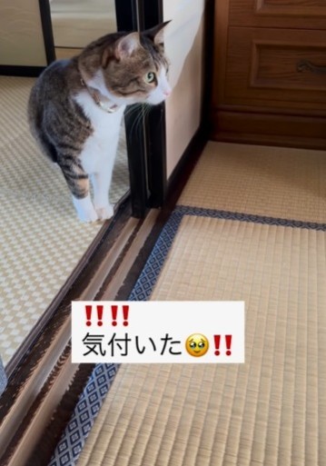 得体の知れないものがいる！って気付いた？（赤ちゃんのママさん提供、Instagramよりキャプチャ撮影）