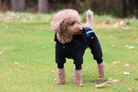 ゼロフリースオーバーオール