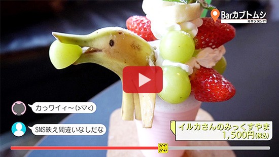 #426Barカブトムシ①