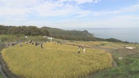 香川・土庄町豊島　22日