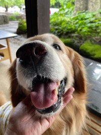 お誕生日には旅行に行く＝blueoceanさん提供