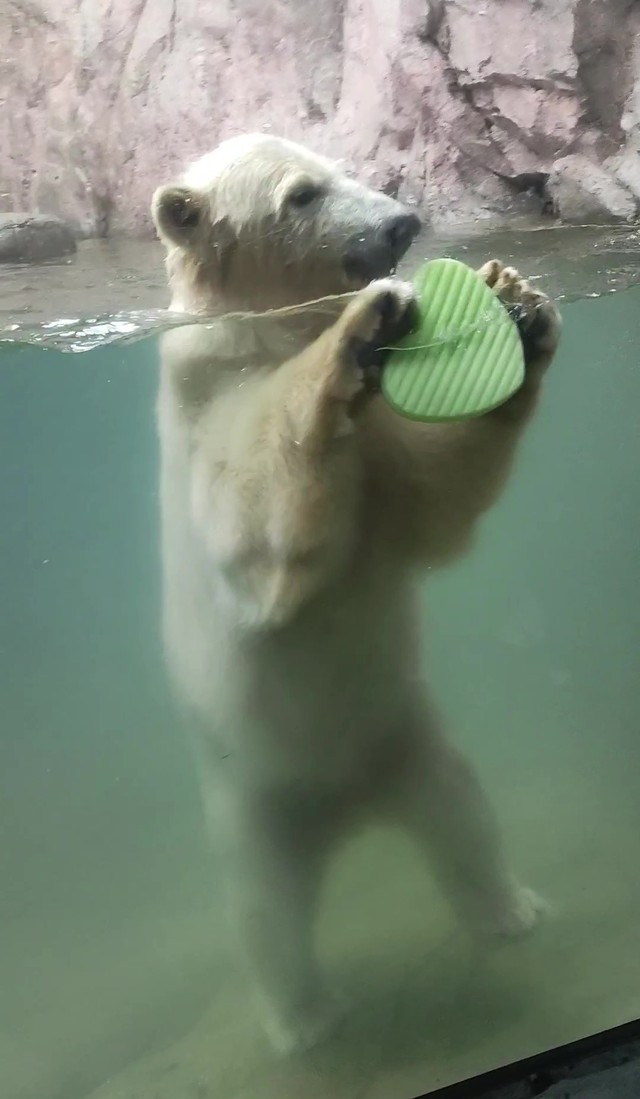 ご機嫌で遊んでいると…