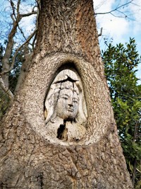 木に彫られた「令和観音」（画像提供：ホウロクさん）