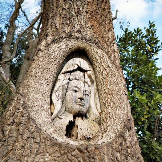 木に彫られた「令和観音」（画像提供：ホウロクさん）