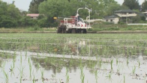 宮城県内の田植え進捗率２９．８パーセント　前年より早まる　５月８日現在