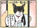 ねこがいちばんかわいい  05dd39b9600041bcd77bc66b455713