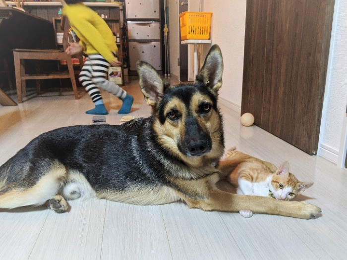 オス同士だが、母と子のようにむつみあう（恵理さん提供）