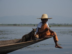 岩合光昭監督が撮った２つの物語　水上と大地で生きる、あるがままのネコたち