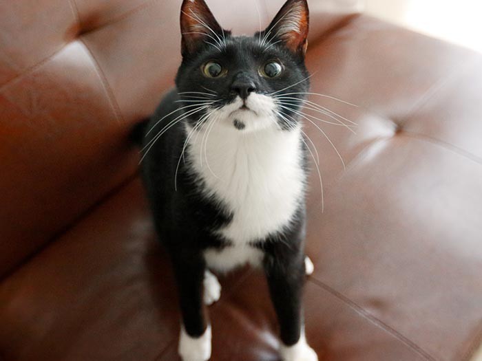 そして、1年後……大人の顔になったじゃないか。おじさんは嬉しいよ。