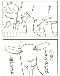 【漫画】『外泊はしないできない』11（くるねこ大和さん提供）