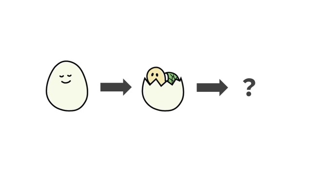 ポイントを貯めると成長する「かめ丸」
