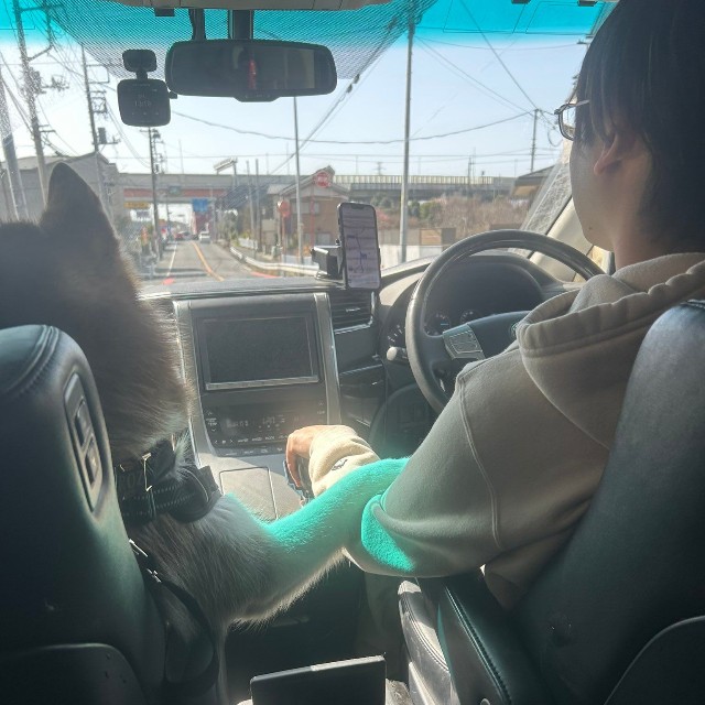 そっと手を差し出し、ラブラブっぷりを見せつける（提供：REM & ROZ @シベリアンハスキー🐾さん）