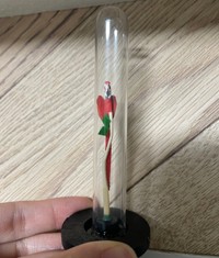 正面から見ても…細い！（んちゅたぐいさん提供） 