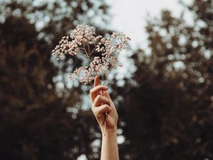 覚悟のない一人暮らしで見失った自分。姉の言葉が狂った針を戻した