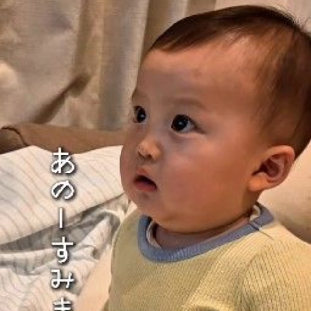 テレビに釘付けのてんころ君…！（提供：＠tenko_ro719さん）