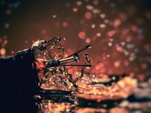 別れ話をされた日、猛烈にググった「好きだけど別れる」と「復縁法」