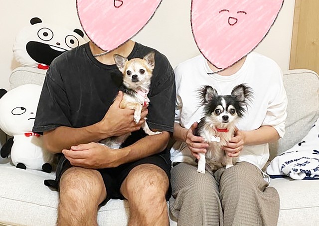 キキとララは2匹一緒に新しいお家で第三の犬生を送ることになりました