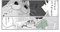 ヒゲの数を数えてみることにしたフータくん（提供：キュルZさん）