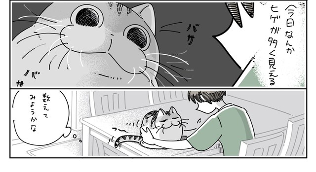 ヒゲの数を数えてみることにしたフータくん（提供：キュルZさん）